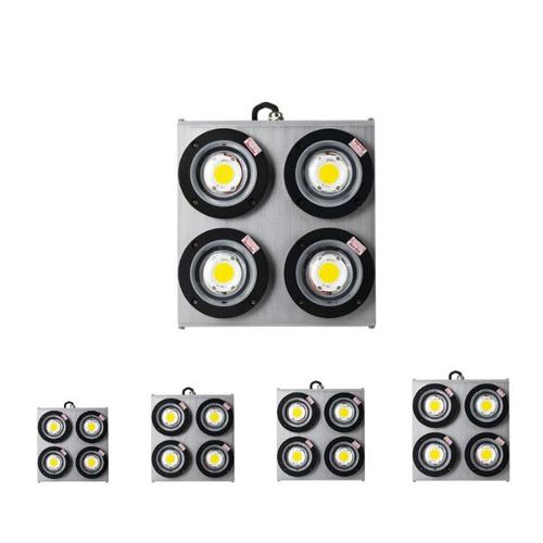 Đèn LED đánh cá COB Rạng Đông [NG-RD-DC08] 500W-700W