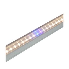 Đèn nuôi cấy mô Rạng Đông [NO-RD-NCM] 16W-25W - 1