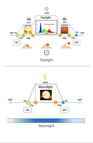 Bộ đèn LED thủy sinh đổi màu TS-RD-TS01.RGB 600/24W