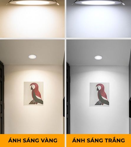 đèn downlight 6w