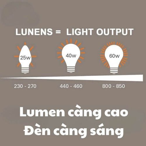 bóng đèn pha 