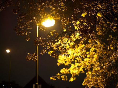 đèn đường led cấu tạo