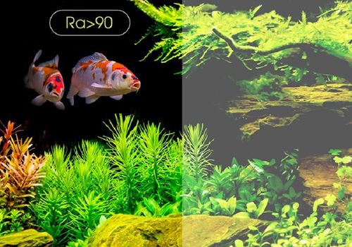 Bộ đèn LED thủy sinh đổi màu 48W Rạng Đông mã TS01.RGB-900/48W