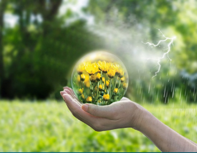 Đèn LED hoa cúc 5W Rạng Đông mã A60.HC/YW