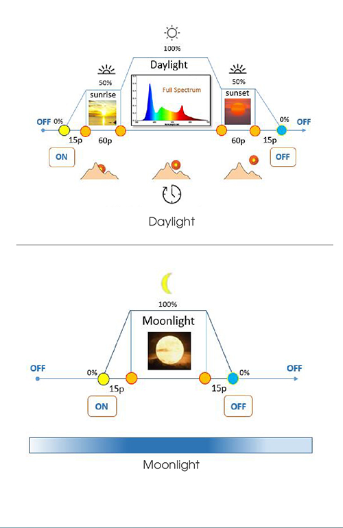 Bộ đèn LED thủy sinh đổi màu TS-RD-TS01.RGB 600/24W