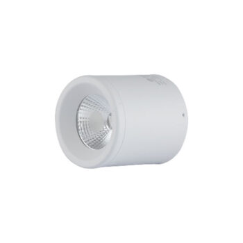 Đèn ống bơ Downlight nổi trần Rạng Đông [BO-RD-NT01-90/10W]