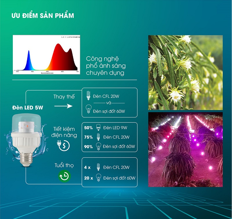 Đèn LED chong thanh long 5W Rạng Đông mã T60.TL/XW