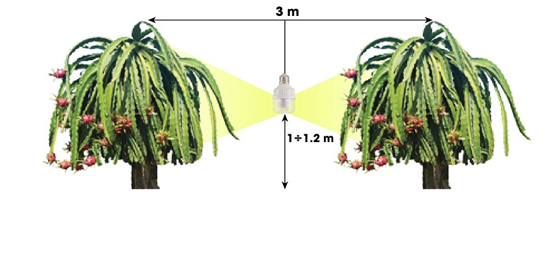 Đèn LED chong thanh long 5W Rạng Đông mã T60.TL/XW