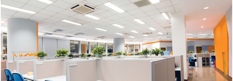 Công tắc cảm biến Rạng Đông CO-RD-CT01.PIR-300W