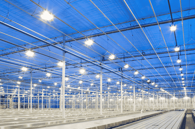 đèn led nhà xưởng chiếu sáng kho