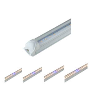 Đèn nuôi cấy mô Rạng Đông [NO-RD-NCM] 16W-25W