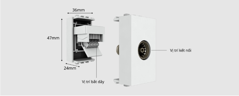 Hạt ổ cắm tivi âm tường Rạng Đông OC-RD-HOC.ANTEN02