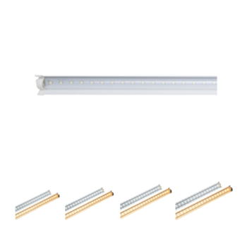 Đèn nuôi cấy mô Rạng Đông [NO-RD-NCM02] 10W-16W