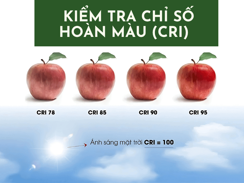 Kiểm tra chỉ số hoàn màu (CRI)