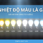 Nhiệt độ màu là gì: Giải mã ánh sáng từ A đến Z để bạn làm chủ không gian sống
