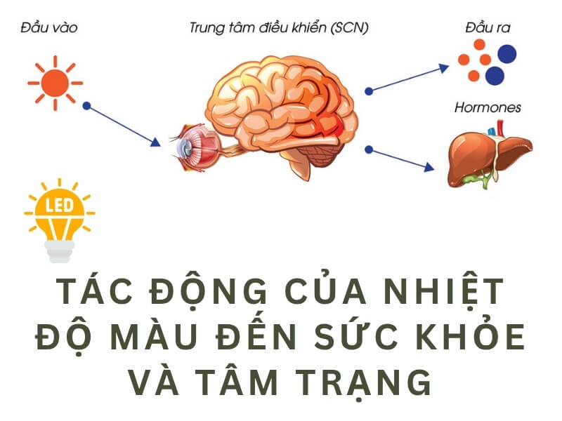 Tác động của nhiệt độ màu đến sức khỏe và tâm trạng