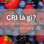 Khám phá CRI số: Từ định nghĩa đến ứng dụng