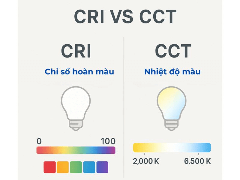Phân biệt CRI so với Nhiệt độ màu (CCT): giải mã sự khác biệt để chọn đèn LED hoàn hảo nhất
