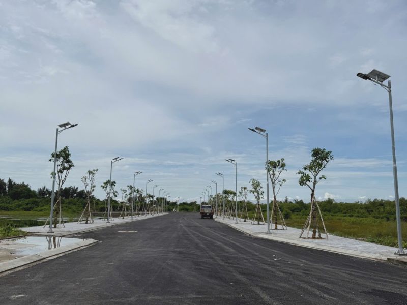 cột đèn đường cao bao nhiêu