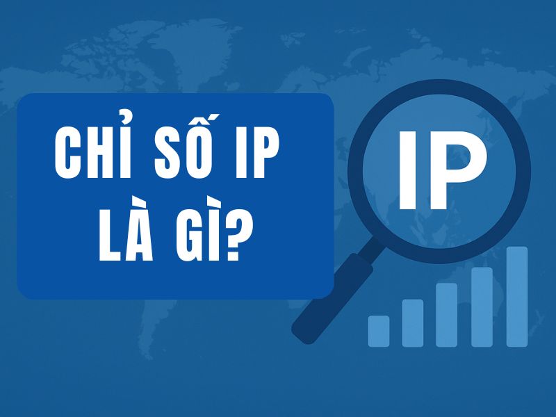 chỉ số IP